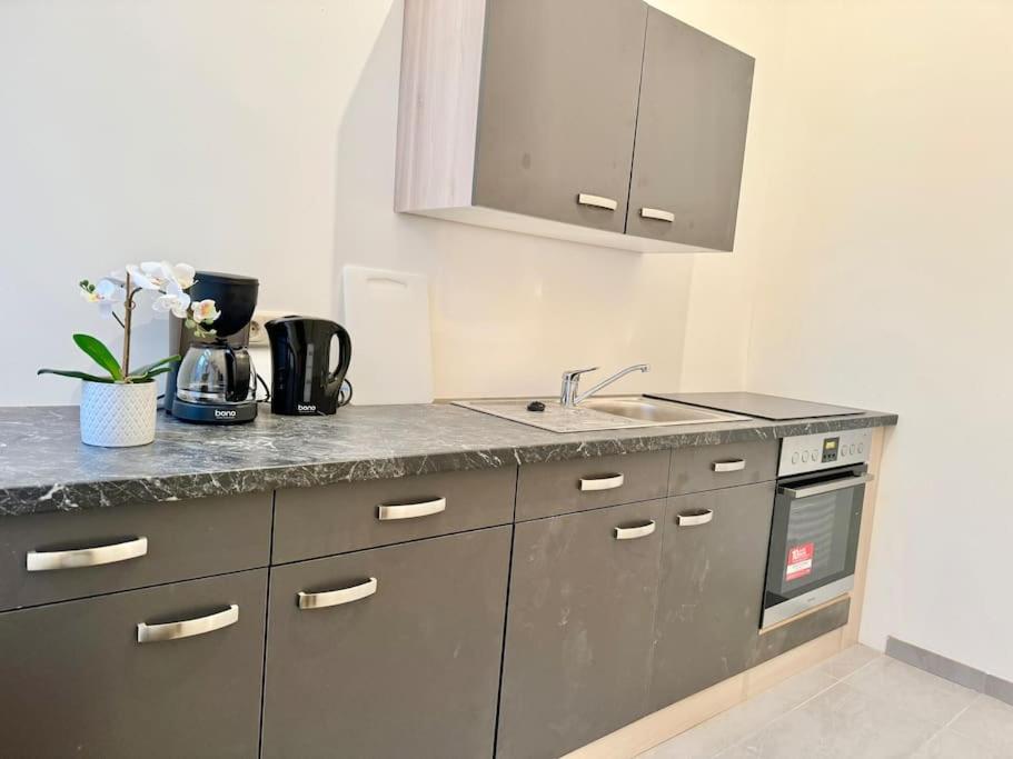 70 M2 Quiet & Calm With Free Parking * Wien